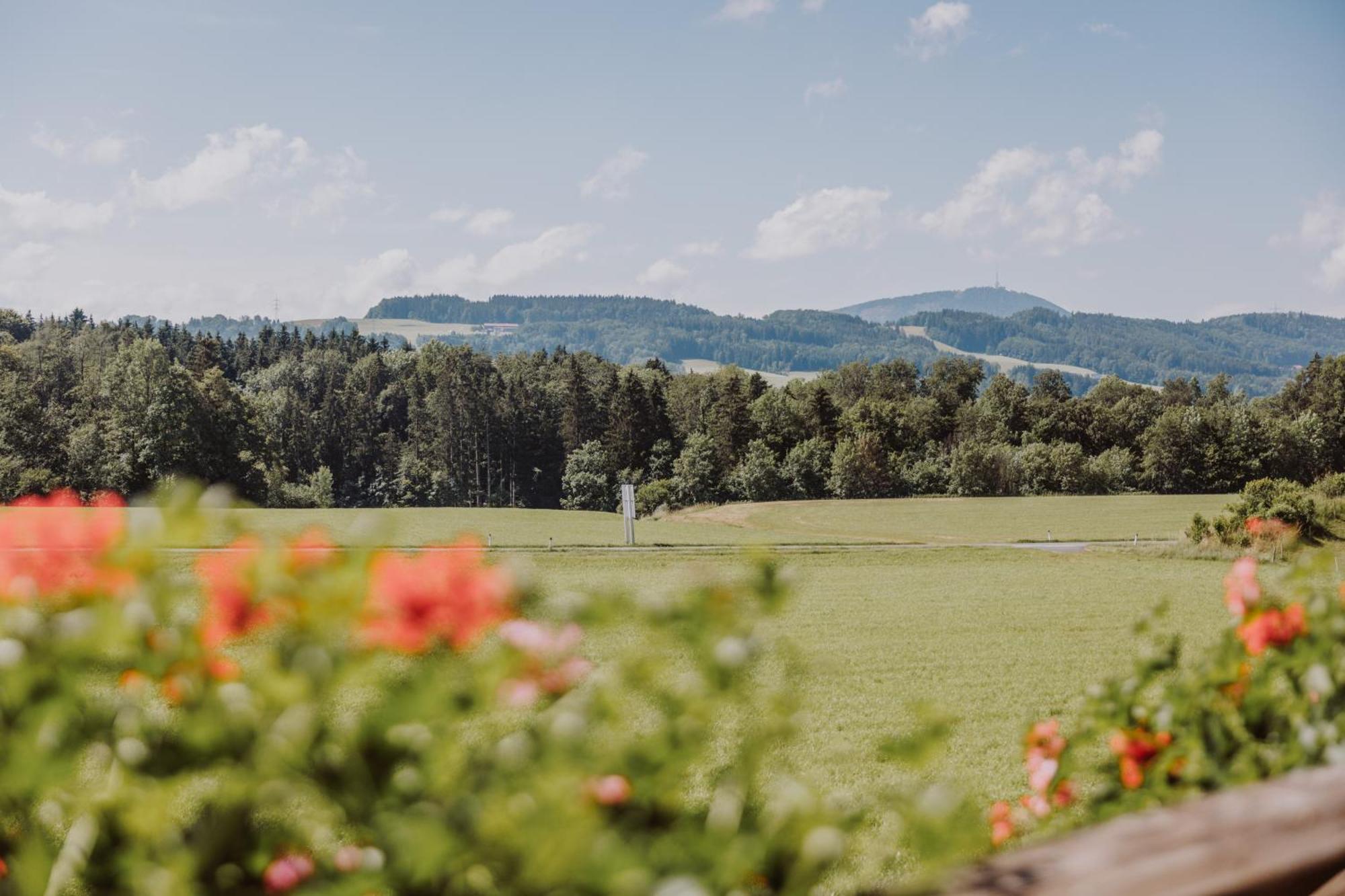 Landhotel Gschirnwirt Eugendorf Extérieur photo
